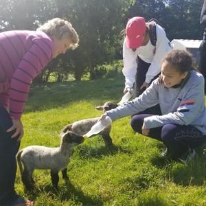 Meet your Posher, Piera